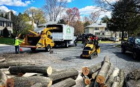 Best Organic Lawn Care Solutions  in Bartlett, TX