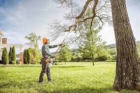 Best Root Management and Removal  in Bartlett, TX