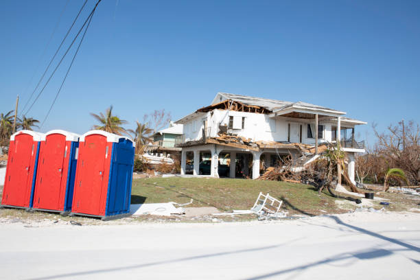  Bartlett, TX Tree Removal Pros